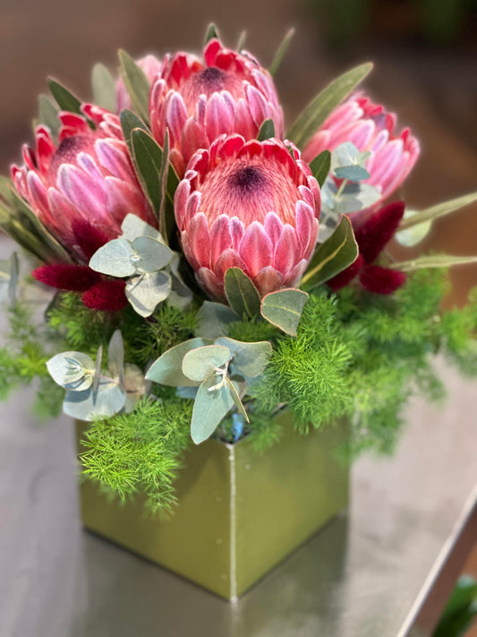 Protea Box